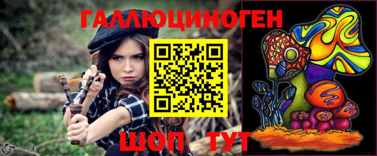 Галлюциногенные грибы Psilocybe Сафоново