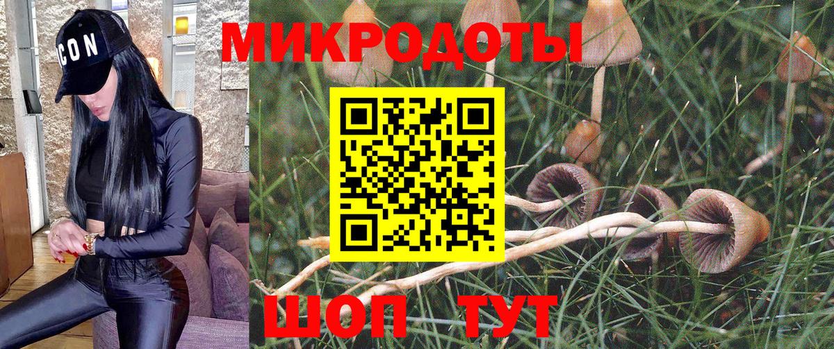 Сафоново  Галлюциногенные грибы Psilocybe  наркота  Вход с VPN 